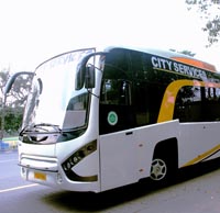 City Bus Services