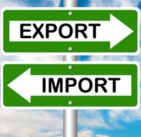 Exporters and Importers