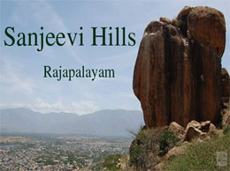 Rajapalayam Yellow Pages