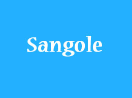 Sangole Yellow Pages