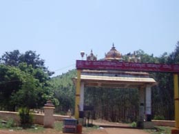 Chiknayakanhalli Yellow Pages