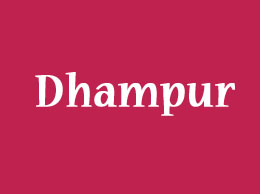 Dhampur Yellow Pages