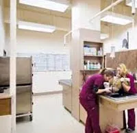 Veterinary Clinics and Hospitals