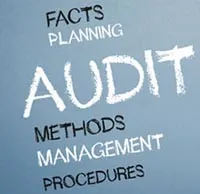 Chartered Accountant