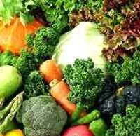 Agriculture, Agroproducts