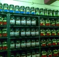 Food Supplement Dealers