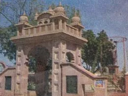 Mandi Dabwali Yellow Pages