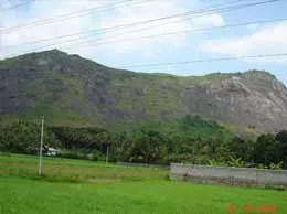 Ottapalam Yellow Pages