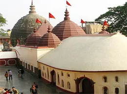 Pallapatti Yellow Pages