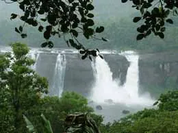 Quilandy Yellow Pages