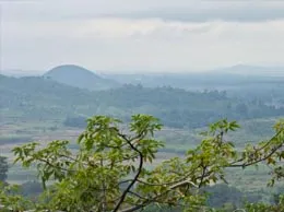 Rayagada Yellow Pages