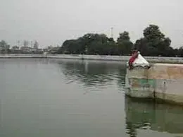 Safidon Yellow Pages