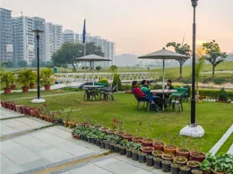 Sardarshahar Yellow Pages