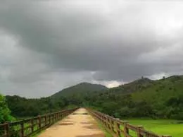 Shoranur Yellow Pages