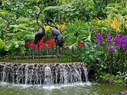 Singapur Yellow Pages