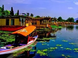 Srinagar Yellow Pages