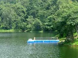 Balaghat Yellow Pages