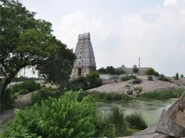 Tirukkoyilur Yellow Pages