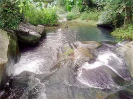 Vadipatti Yellow Pages