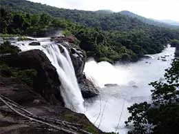 Chalakudy Yellow Pages