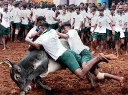 Alanganallur Yellow Pages