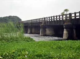 Chittur-Thathamangalam Yellow Pages