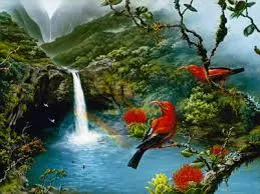 Coonoor Yellow Pages