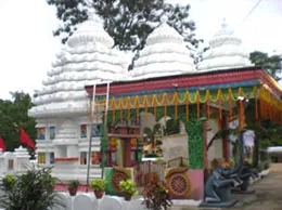 Damanjodi Yellow Pages