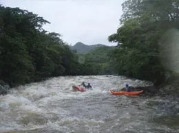 Dandeli Yellow Pages