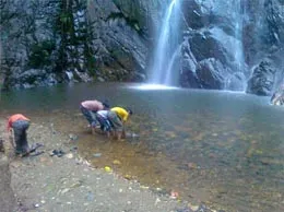 Debagarh Yellow Pages