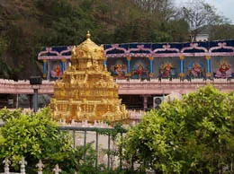 Amadalavalasa Yellow Pages