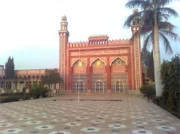 Fazilka Yellow Pages