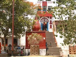 Gursahaiganj Yellow Pages