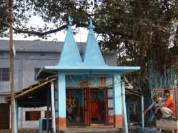 Islampur Yellow Pages