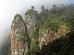 Ammainaickanur Yellow Pages