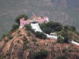 Ammapettai Yellow Pages