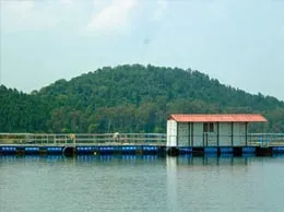 Jhumri Telaiya Yellow Pages