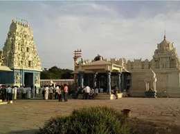 Kandukur Yellow Pages