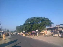 Kharupatia Yellow Pages