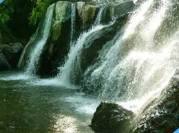 Kotagiri Yellow Pages