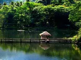 Kothamangalam Yellow Pages