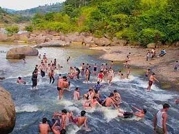 Kothavalasa Yellow Pages